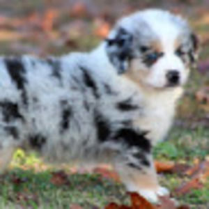 Meet your Posher, Paula